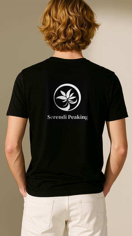 M_Back-002・Mockup